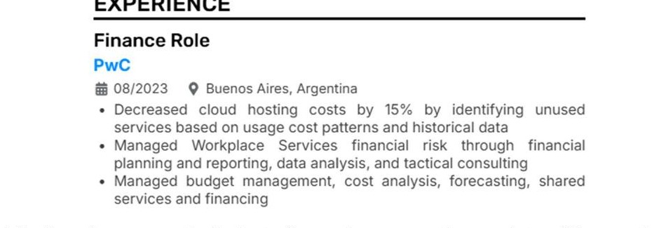 Experience section from Manuel's CV